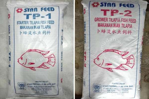 pellet makanan ikan tilapia