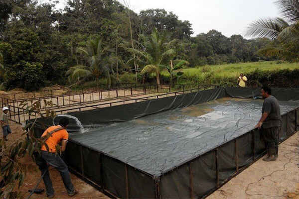 Modal Bina Kolam Ikan Air Tawar Jenis Tanah Ternakan Ikan