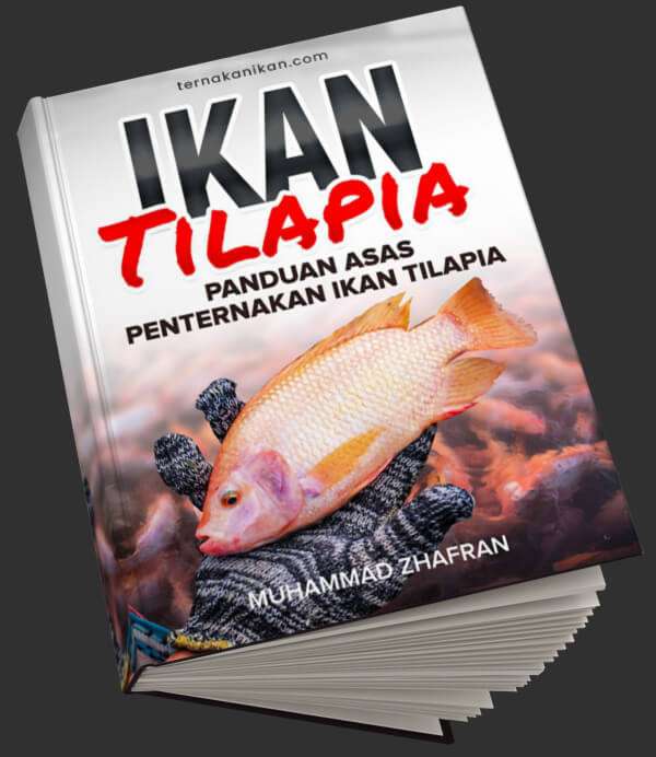 buku ikan tilapia