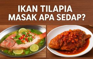 Ikan tilapia masak apa yang sedap